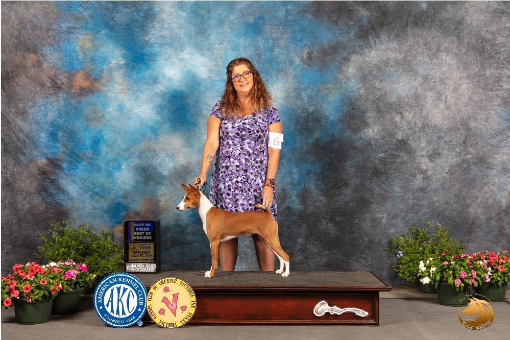 Possum Creek's Sezerac at Briden