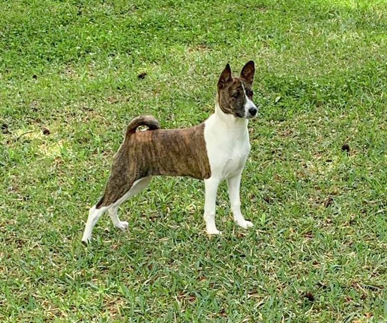 Relic's Journey With An African Princess